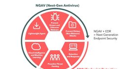 Endpoint Security - ERP SOFTWARE MANAGEMENT - Managed Security Service