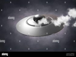 Digital Marketing Automation Tools For Seamless Success