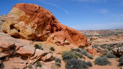 File:Thorn Tree Sossusvlei Namib Desert Namibia Luca Galuzzi 2004.JPG ...