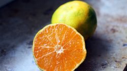 Orange County Drug Treatment Centers Your Path to Recovery