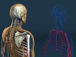 Human Resource Management Application For Seamless Growth