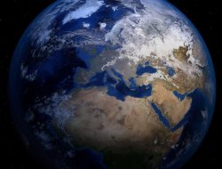 world food program usa review – A deep dive into impact